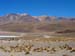 bolivie (184)